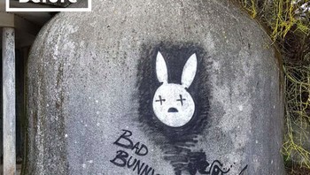 Dari sebelumnya seperti ini. Foto: boredpanda