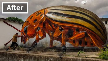 Dia sudah menekuni seni lukis 3 dimensi sejak tahun 1990-an ketika lukisan semacam ini mulai populer di Portugal. Foto: boredpanda