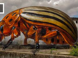 Lukisan 3 Dimensi di Jalanan yang Bikin Merinding