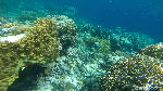 Foto: Keseruan dTraveler Jelajahi Indonesiamu ke Wakatobi