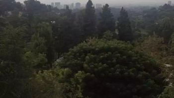 Ini pemandangan di sekitar rumahnya di kawasan elit Los Angeles pada pagi hari. Elon Musk bersiap melakukan aktivitasnya. Foto: istimewa 