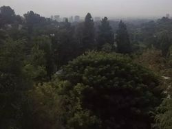 Menguak Kegiatan Sehari-hari Elon Musk yang Mungkin Picu Stres