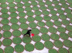 Pulau Hati, Liukan Jalan Tol, dan Foto Unik Lain dari Udara