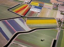 Pulau Hati, Liukan Jalan Tol, dan Foto Unik Lain dari Udara