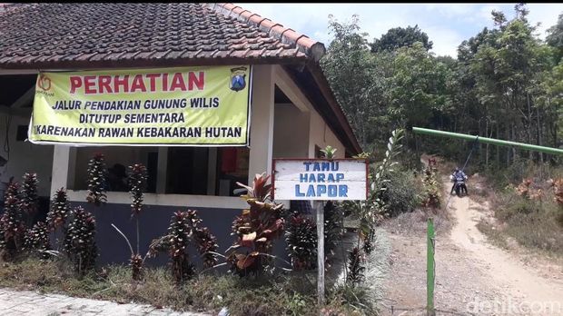 Kebakaran di Gunung Wilis Merembet ke Madiun, Ini Langkah KPH