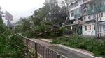 Begini Dampak Kerusakan Topan Mangkhut di Filipina dan Hong Kong