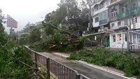 Angin kencang itu menumbangkan pepohonan dan merusak banyak properti milik warga di Hong Kong. Social Media/Twitter/@ANON_SNUFKIN/via Reuters.