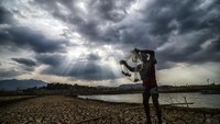 Abah Yono (63) mengaku menjaring ikan setiap hari di genangan waduk untuk disantap bersama keluarganya. Foto: AntaraFoto/Raisan Alfarisi