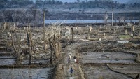 Penyusutan air sejauh 300 meter dari batas air awal di Desa Cipaku, Kecamatan Darmaraja, menjadi daya tarik bagi masyarakat untuk bermain-main di antara puing-puing bangunan tersebut. Meski telah terendam air selama tiga tahun, bangunan maupun perabotan di dalamnya masih tampak jelas terlihat. Foto: AntaraFoto/Raisan Alfarisi