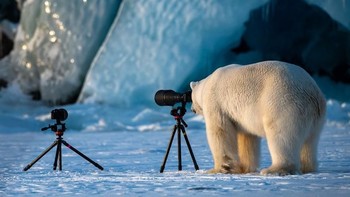 Seorang fotografer tak jarang harus menghabiskan waktu untuk dapat mengabadikan momen yang indah dan mengagumkan. Tapi bagaimana jika objek yang ditunggu justru tak mau kalah ikut memotret pemandangan di sekitarnya? Istimewa/Boredpanda.