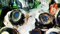 Bola mata ikan tuna jadi hidangan yang cukup digemari di Jepang dan Filipina. Mata tuna ini biasanya dimakan mentah, mirip seperti sushi. Foto: Istimewa