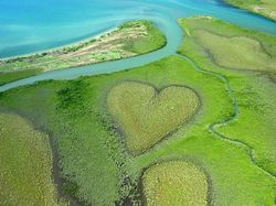 Pulau Hati, Liukan Jalan Tol, dan Foto Unik Lain dari Udara