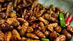 10 Makanan Ini Dianggap Menjijikkan Tapi Digemari Banyak Orang