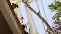 Pengerjaan proyek Skybridge diketahui telah mencapai 30 persen. Direktur Utama PD Pembangunan Sarana Jaya Yoory C Pinontoan mengungkapkan pengerjaan Zona A dari Skybridge telag selesai dengan pemasangan material baja dan precast, yaitu pemasangan lantai.