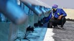 Melihat Perawatan Rusun Muara Baru