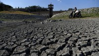 Seperti di Waduk Gondang yang mulai mengering di Lamongan, Jawa Timur. Pada musim kemarau ini waduk yang memiliki luas sekitar 6,60 hektar dengan kedalaman sekitar 29 meter dan dimanfaatkan untuk pengairan sawah tersebut mengalami penurunan debit air. ANTARA FOTO/Zabur Karuru