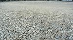 Kekeringan Mulai Landa Beberapa Wilayah di Indonesia