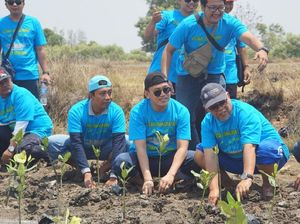 Pegiat Lingkungan Gelar Aksi Tanam Mangrove di Pesisir Tangerang