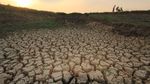 Kekeringan Mulai Landa Beberapa Wilayah di Indonesia