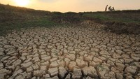 Petani menyiapkan mesin pompa air di areal persawahan yang mengalami kekeringan di Penganjang, Indramayu, Jawa Barat. Petani daerah tersebut mengaku kesulitan mendapat air selama sebulan terakhir sehingga ratusan hektar sawah terancam puso. ANTARA FOTO/Dedhez Anggara