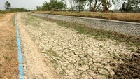 Begitu juga saluran irigasi yang mengalami kekeringan di Desa Jatibarang, Brebes, Jawa Tengah. Saluran irigasi tersebut mengalami kekeringan sehingga tanaman bawang merah dan padi setempat terancam gagal panen. ANTARA FOTO/Oky Lukmansyah