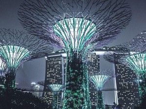 Menyeimbangkan Optimisme dan Realita