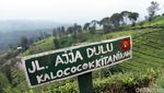 Foto: Jalan Buntu di Pangalengan yang Instagramable