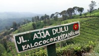 Selain Jalan Buntu tadi, ada juga papan nama JL AJJA DULU KALAU COCOK KITA NIKAH. Aduh, ada-ada saja. (Wisma/detikTravel)