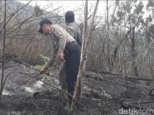 Kebakaran di Gunung Wilis Merembet ke Madiun, Ini Langkah KPH