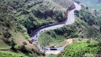 Pemandangannya juga cakep banget. Hamparan kebun teh berpadu dengan jalan berkelak-kelok jadi sajian tersendiri buat mencuci mata. (Wisma/detikTravel)