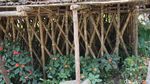 Menginap di Rumah Kaki Seribu di Pedalaman Papua Barat