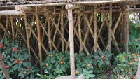 detikTravel ke Pegaf bulan lalu dan tak lupa kami menginap di rumah asli Suku Arfak. Rumah Kaki Seribu termasuk dalam rumah panggung (Masaul/detikTravel)  