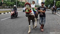 Kini warga kembali bisa menaiki delman maupun kuda di kawasan Kemayoran.