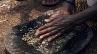 Lalu, para biarawan melemparkan ceri itu ke dalam api dan malah senang degan bau terbakarnya kopi. Kopi sebelum digiling dan disangrai harus dicuci terlebih dahulu lalu dimasukkan ke dalam jebena, teko kopi tradisional Ethiopia harus (Thomas Lewton/BBC Travel)