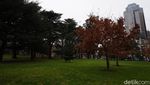 Foto: Taman Sejuk di Melbourne Warisan UNESCO