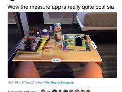 Seru-seruan di iOS 12: Ukur Kucing, Pamer Memoji