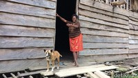 Di sisi kanan kiri rumah panggung ini dilapisi tanah agar bisa dijadikan tempat memasak atau membakar kayu sebagai penghangat (Masaul/detikTravel)  