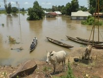 Pilu 150 Orang Tewas Akibat Banjir Bandang di Nigeria