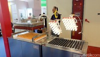 Proses inkubasi telur.