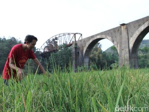 Angkut Hasil Bumi, Kwik Pernah Jadi Andalan di Rute Bandung-Ciwidey