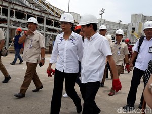Pupuk Indonesia Bidik Ekspor Rp 8,31 T Tahun Ini