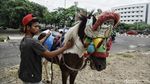 Delman Kembali Hadir Pasca Asian Games