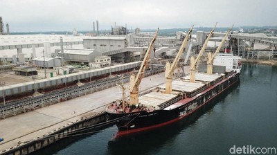 Ini Loh Kapal Raksasa Pengangkut Pupuk RI