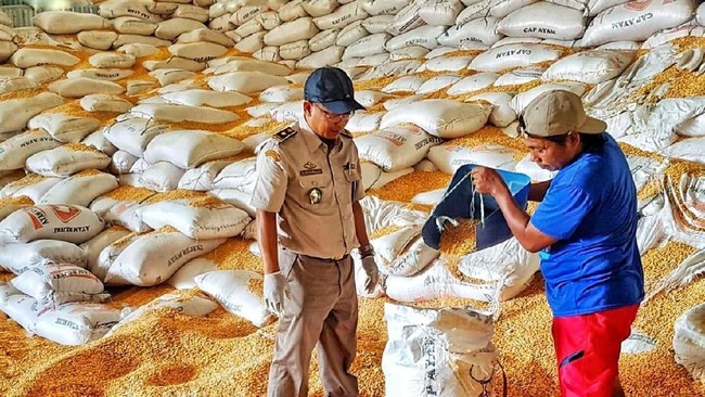 Izin Impor Terbit, 100.000 Ton Jagung Brasil dan Argentina Serbu RI