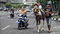Saat ini mereka hanya boleh menarik menumpang di wilayah Kemayoran dan Kota Tua. Untuk wilayah Monas masih belum diperbolehkan. 