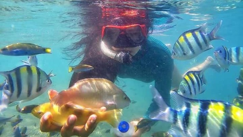 Traveler yang sedang bermain dengan ikan warna-warni (istimewa/Amink) Traveler yang sedang bermain dengan ikan warna-warni (istimewa/Amink)