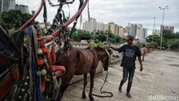 Kusir delman mengaku baru mencari penumpang sejak dua minggu lalu. 