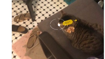 Netizen ini juga tak mau kalah mengukur kucing peliharaannya. (Foto: Twitter)