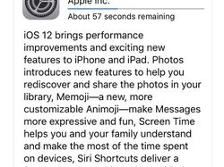 Seru-seruan di iOS 12: Ukur Kucing, Pamer Memoji