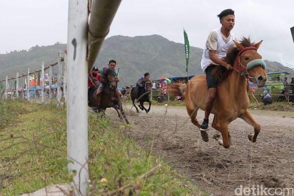 Lomba pacuan kuda digelar di Lapangan Pacu, Blang Bebangka, Kecamatan Pegasing, Takengon, Kabupaten Aceh Tengah. Kegiatan ini berlangsung sepekan yaitu 17-23 September mendatang (dok Disbudpar Aceh) Lomba pacuan kuda digelar di Lapangan Pacu, Blang Bebangka, Kecamatan Pegasing, Takengon, Kabupaten Aceh Tengah. Kegiatan ini berlangsung sepekan yaitu 17-23 September mendatang (dok Disbudpar Aceh)
